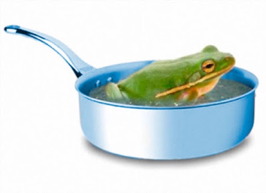 boilingfrog