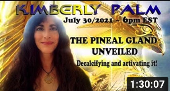 2021-08-03-pineal-gland-unveiled