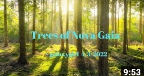 2022-04-05-trees-of-nova-gaia