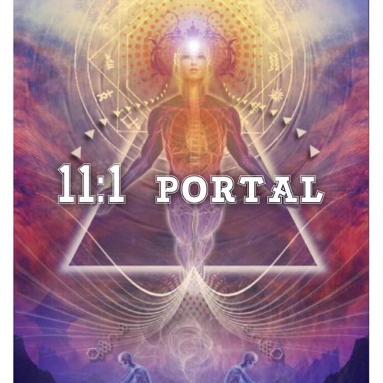 portal-11-1
